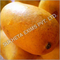 Manufacturers Exporters and Wholesale Suppliers of Alphonso Mango Aurangabad Maharashtra